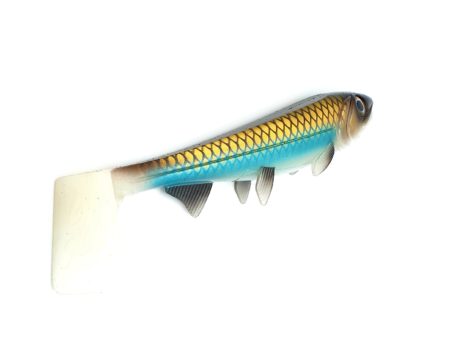 Hostage Valley Shad Gold Attack