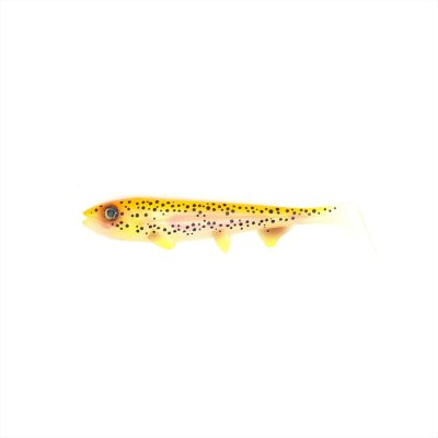 Hostage Valley Shad Golden Trout